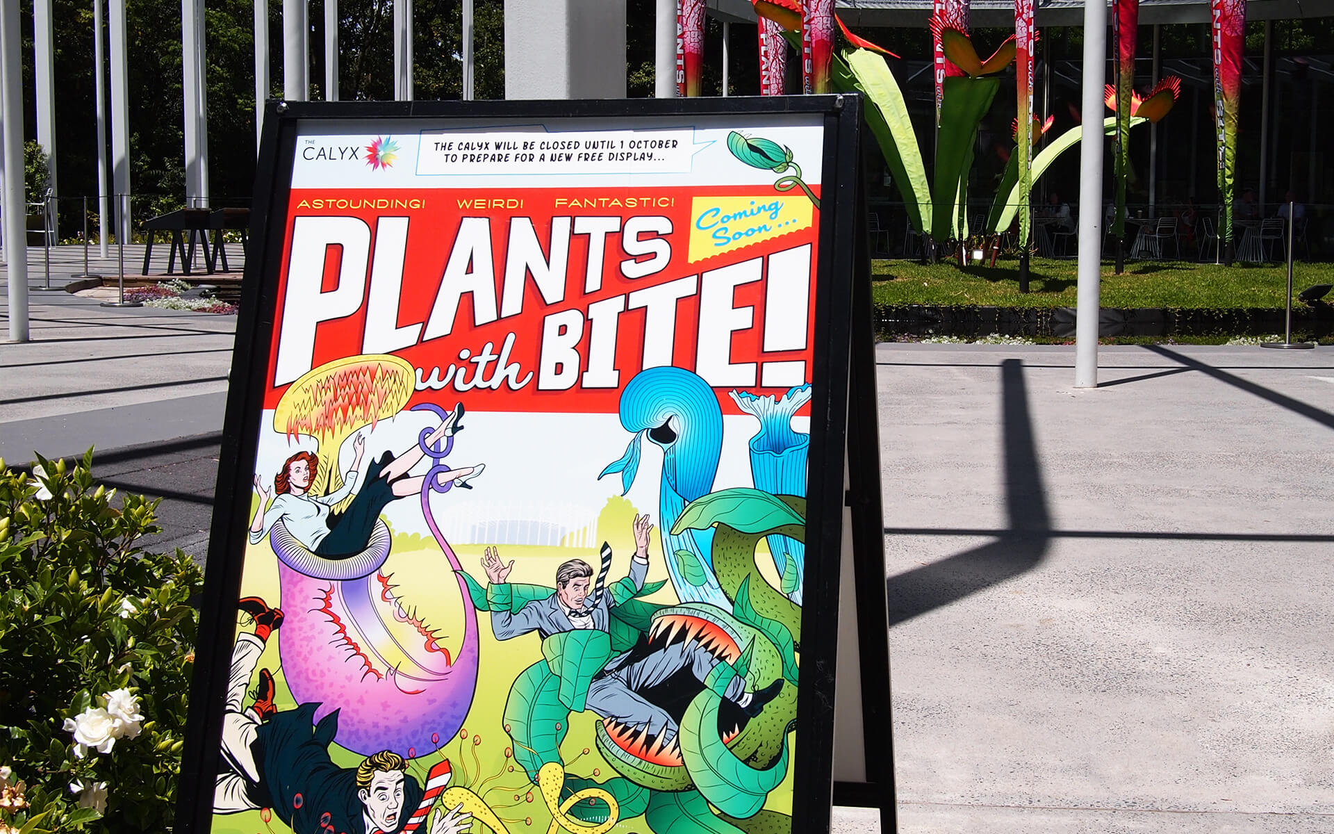 Gillian Moran Design Portfolio - Plants with Bite!